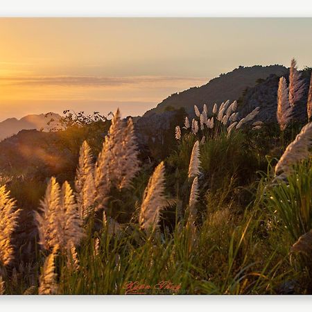 Cat Ba Island Garden Homestay - Papillon Екстериор снимка