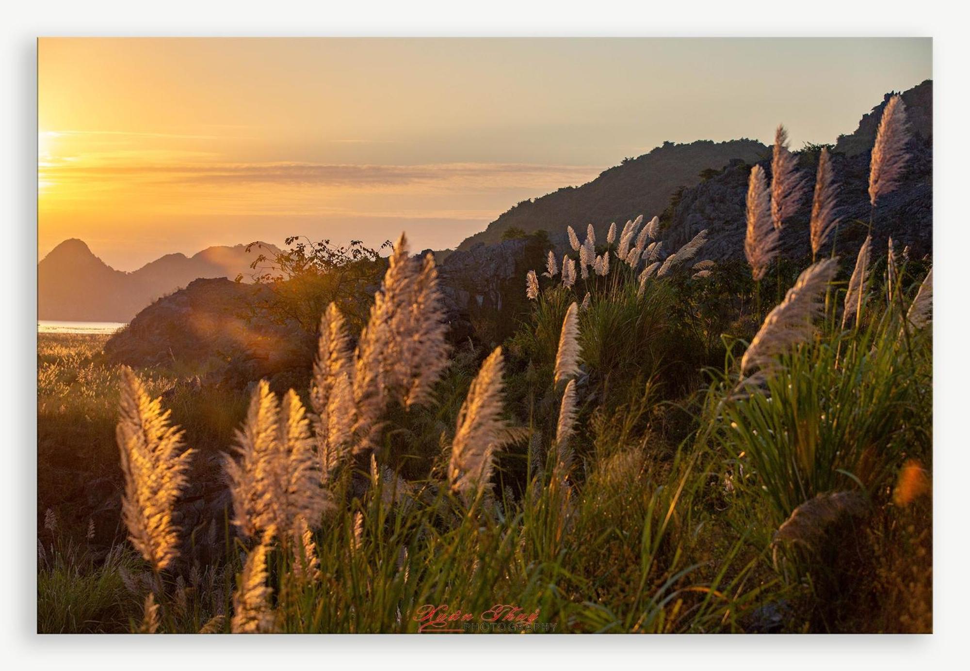 Cat Ba Island Garden Homestay - Papillon Екстериор снимка