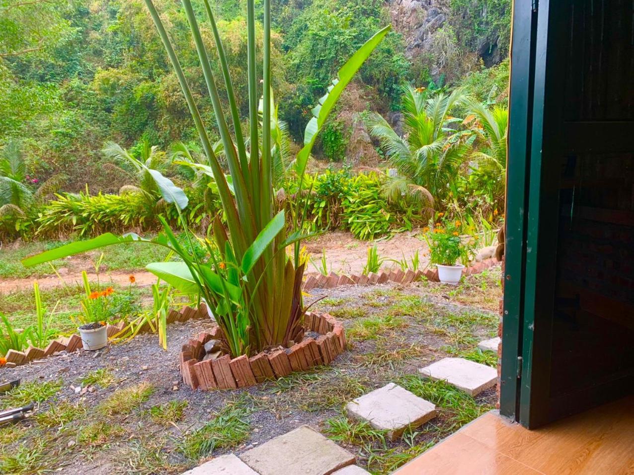Cat Ba Island Garden Homestay - Papillon Екстериор снимка